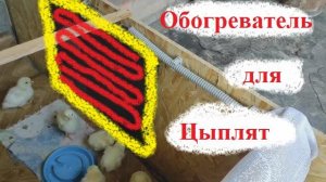 Обогреватель для цыплят. Своим руками!