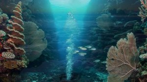 Healing Underwater Music for Deep Sleep — Coral Calm (1 Hour)