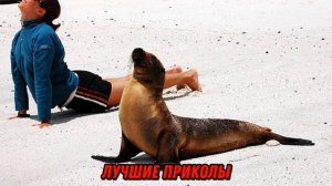 Когда работать не возможно 😹 Лучшие приколы ! 👍🔥