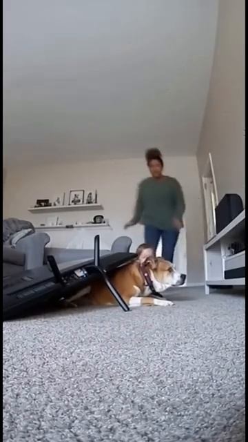 57 Animal Heroes Who Saved a Life [get.gt] смотреть онлайн