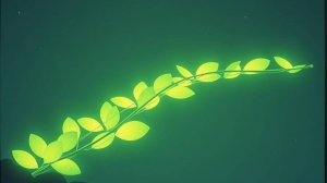 НЕ МОГУ МОЛЧАТЬ Я ROCK