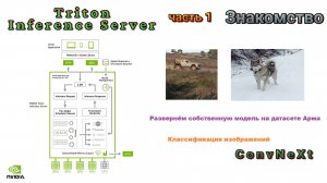 Triton Inference Server. Часть 1. Знакомство