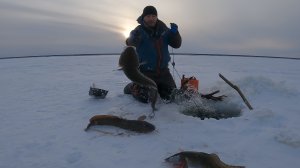 ПЕРЕМЕТ | ПРОВЕРКА 02.11.2025