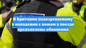 В Британии подозреваемому в нападении с ножом в поезде предъявлены обвинения