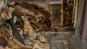 Ворона и Лисица.mp4