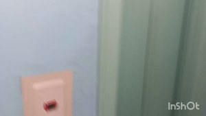 Ночные прогулки /стоят на голове