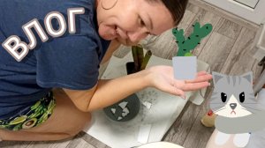 Учусь готовить 🍲, сажать растения 🌵Расхламляюсь. Продуктовые покупки Что, по чëм😁