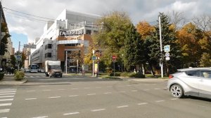 02=11=2025  ник  КРАСНОДАР   (50). УЛ. КРАСНАЯ. ГАЛЕРЕЯ.