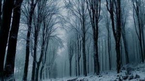 Пришла пора 🍁 и журавли ( 9ч поэмы Мещера (заключительная)).