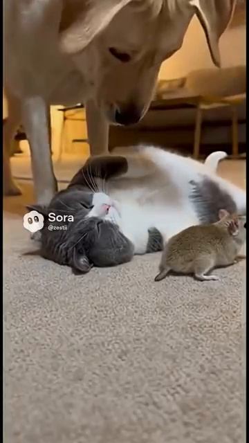 When nap time turns into panic mode [get.gt] смотреть онлайн