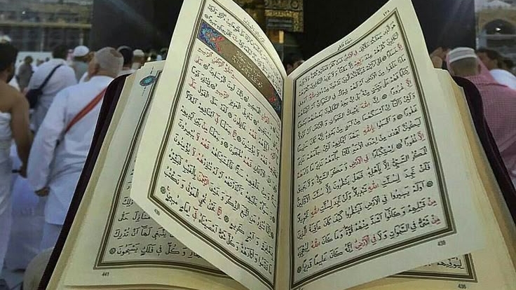 2.Сура «Аль-Бакара» («Корова») — 286 аятов