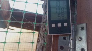 Ноябрь +11. Аномальное тепло. Обрезаю малинник и ежевику.