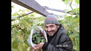 Вой - Патриот (Сергей Резников)