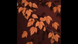 Garlaryň arasynda v.1