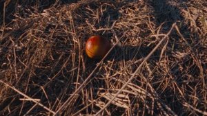 #46 Бозоны Хиггса - Птенчик