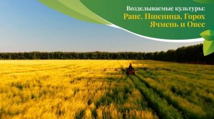 Село Лебеди, Промышленновский район, Кузбасс