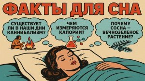 Факты для сна: Удивительные и интересные факты, чтобы быстро уснуть