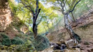 В Массандре: источник, колумбарий 1-3вв, христианский храм 12-14вв, видео экскурсия  сентябрь 2025