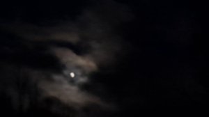Бегущая луна или облака все мимо