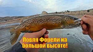 Ловля Форели на большой высоте!