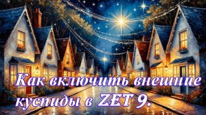 Как включить куспиды домов внешнего круга в Zet 9.