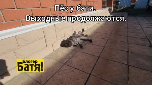 Выходной у Бати.