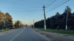 petal_20251103_170313.mp4