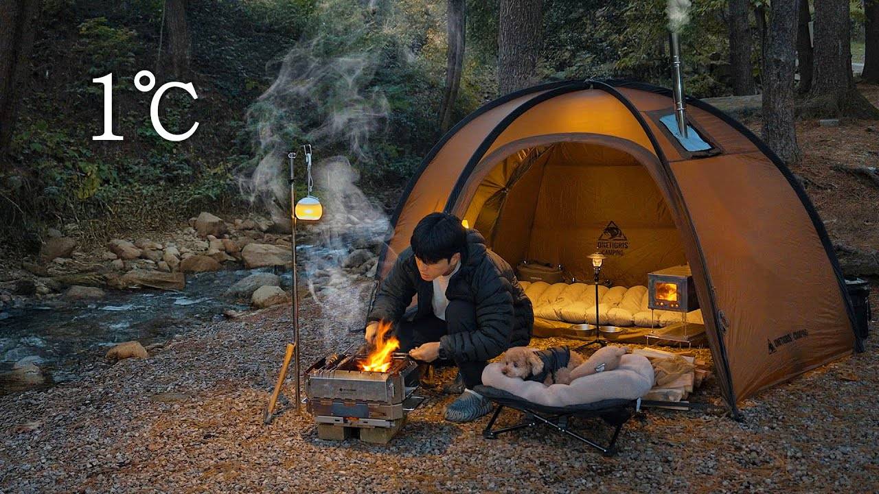 Палаточный кемпинг в лесу с собакой . Жарка рыбы в дикой природе . Дровяная печь ASMR.