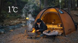 Палаточный кемпинг в лесу с собакой . Жарка рыбы в дикой природе . Дровяная печь ASMR.