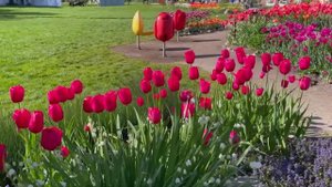 МУЗЫКА ДЛЯ УСПОКОЕНИЯ И РАССЛАБЛЕНИЯ ДУШИ И СНА