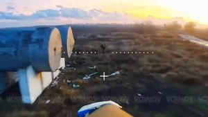 счастливый жёлудь что он нашел его не спас