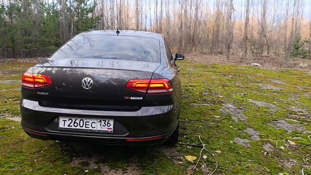 1000067000.mp4 смотреть онлайн