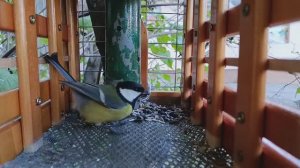 Ешьте до отвала.