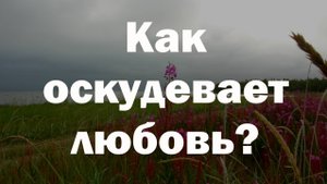 Как обрести дар любви?