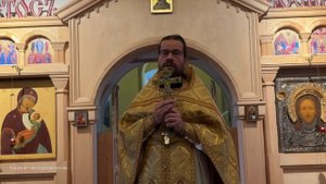 Проповедь иерея Павла Каледы в Неделю 21-ю по Пятидесятнице