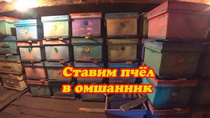 ВТОРОЙ ДЕНЬ ПОСТАНОВКИ ПЧЕЛОСЕМЕЙ В ЗИМОВНИКИ. 2 Часть.