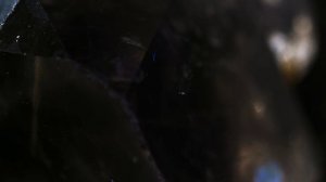 Дикая природа 4К 8К Full HD ультра (Wildlife 4K 8K Full HD Ultra)