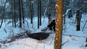 Ночуем в зимнем лесу в палатке.