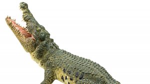 похоже перестал в ванну помещаться....!😆