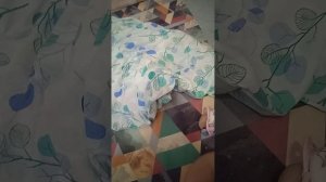 VID_20251103_232006.mp4