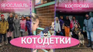 ВЛОГ | КОТОДЕТКИ В ПРИЮТАХ!
