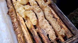 Тёплый денёк