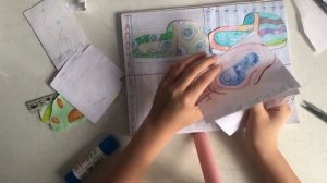 Распаковка  бумажных сюрпризов. +2новой коллекции