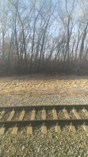 не придумала