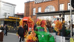 02=11=2025  ник  КРАСНОДАР   (67) ЦЕНТР ГОРОДА