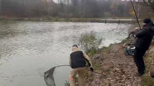 Паста желтый сыр