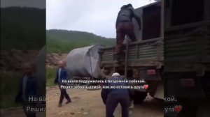 Вахтовый друг