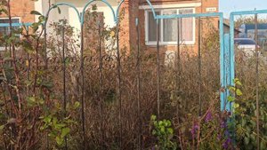 Что ожидает мои цветники в будущем?!