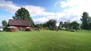 Их осталось 234 человека: всё о народе сето