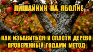 СПАСАЕМ САД!